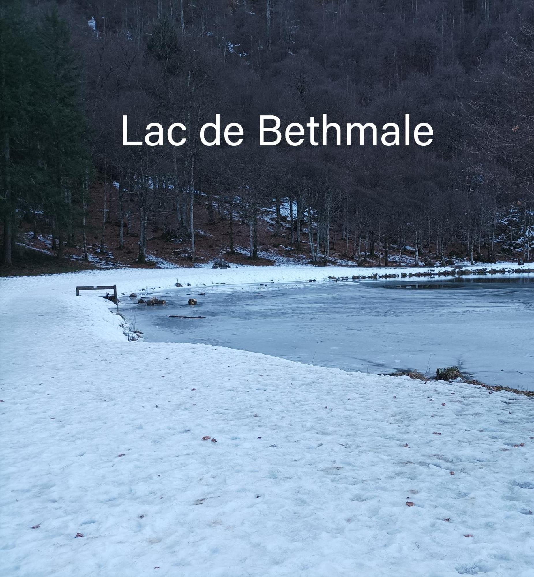 La Note Verte - Parking Gratuit Devant L'Entree Foix Kültér fotó